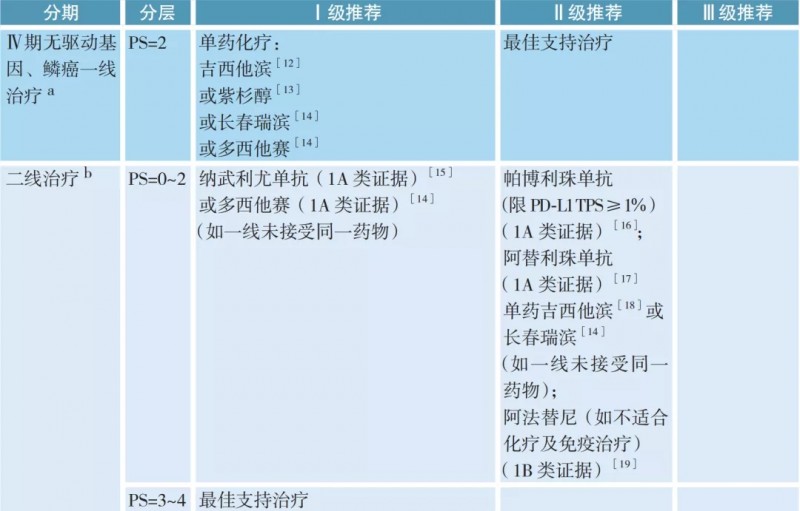 Ⅳ期无驱动基因、鳞癌的治疗方案