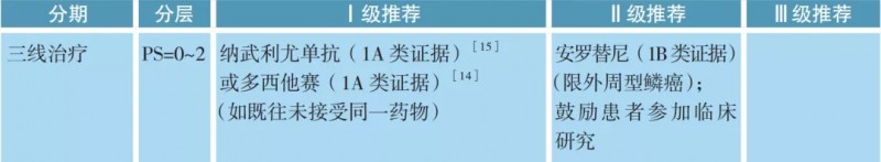 Ⅳ期无驱动基因、鳞癌的治疗方案