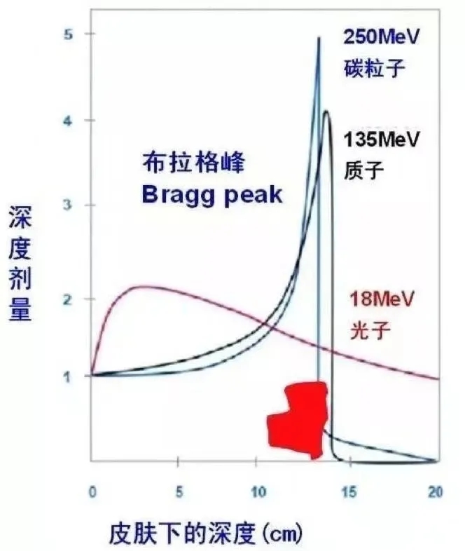 光子、质子、碳离子放射深度对比