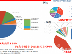 非小细胞肺癌新药,FDA重磅宣布非小细胞肺癌EGFR20外显子插入突变的EGFR靶向药JNJ6372(Rybrevant、Amivantamab-vmjw)获批上市