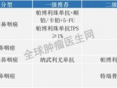 2021年CSCO肿瘤免疫治疗(PD1/PDL1)指南,中美两国免疫抑制剂、肿瘤免疫治疗药物(PD-1/PD-L1)有哪些