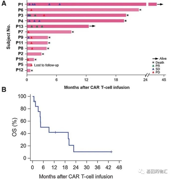 CAR-GPC3 T细胞免疫疗法治疗数据