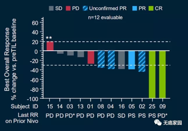 TILs联合PD-1治疗非小细胞肺癌数据