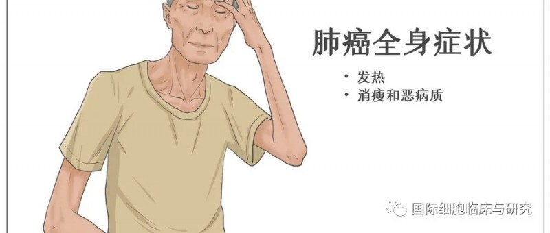 87%的肿瘤患者存在营养不良,一文了解肺癌怎么吃的10大建议