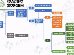 国内知名脑瘤专家北京协和医院神经外科副主任王裕教授:值得关注的脑胶质瘤新药和脑胶质瘤新技术