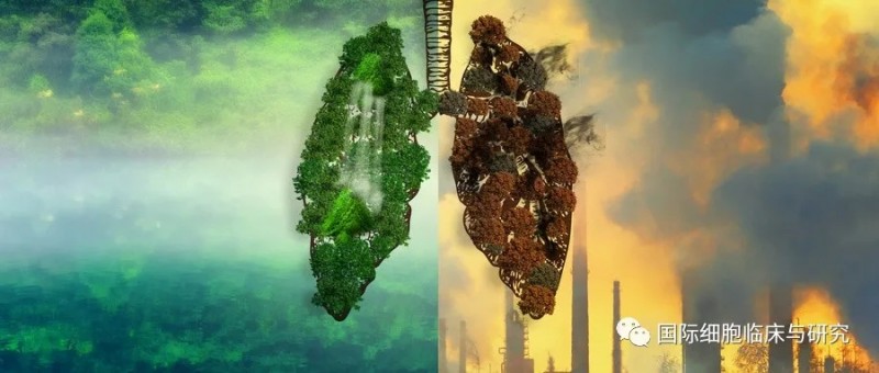 营养不良?副作用明显?提高5年生存率,肺癌患者就得这么做!