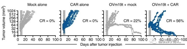 溶瘤病毒+CAR-T,两大抗癌"黑科技"联手,突破癌细胞的最