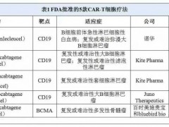 恶性血液肿瘤复发怎么办,不妨试试CAR-T细胞免疫疗法,复发后治疗仍有效