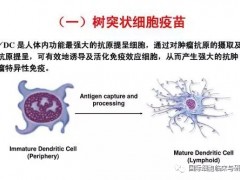 癌症治疗新希望:DC疫苗,DC生物细胞免疫疗法,DC细胞生物免疫疗法