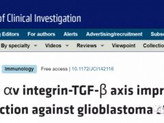 脑胶质母细胞瘤细胞免疫治疗,新型NK细胞免疫疗法可以消除胶质母细胞瘤的"种子"