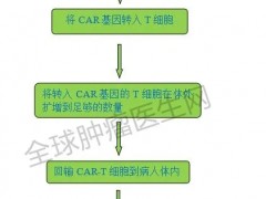 国内首个CAR-T细胞免疫疗法阿基仑赛注射液(奕凯达、Yescarta)获批上市,CAR-T细胞疗法价格、费用、多少钱