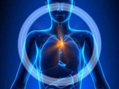 胸腺的作用是什么,胸腺肽的作用功效有哪些,胸腺肽类药物有哪些