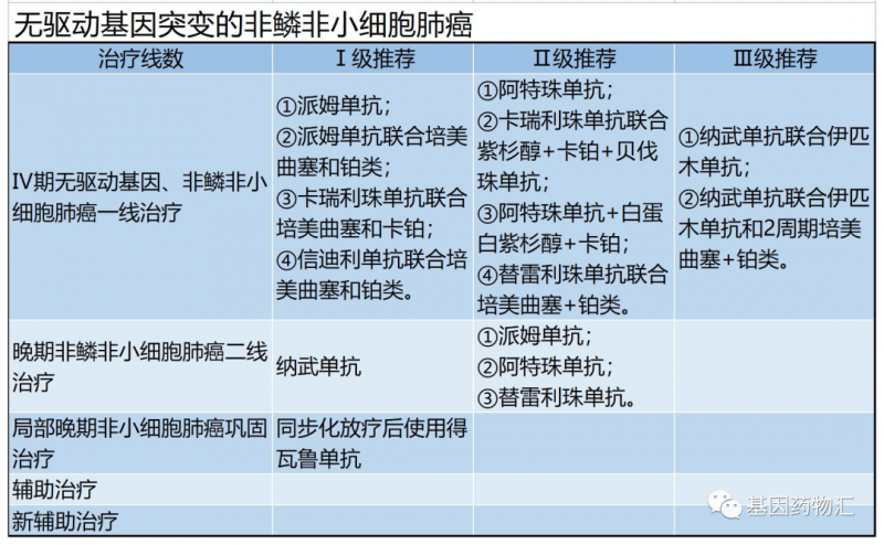 无驱动基因突变的非鳞非小细胞肺癌治疗方案