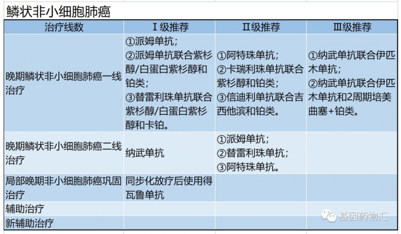 鳞状非小细胞肺癌多药治疗方案