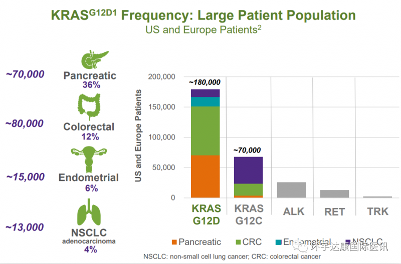 KRAS G12D突变概率