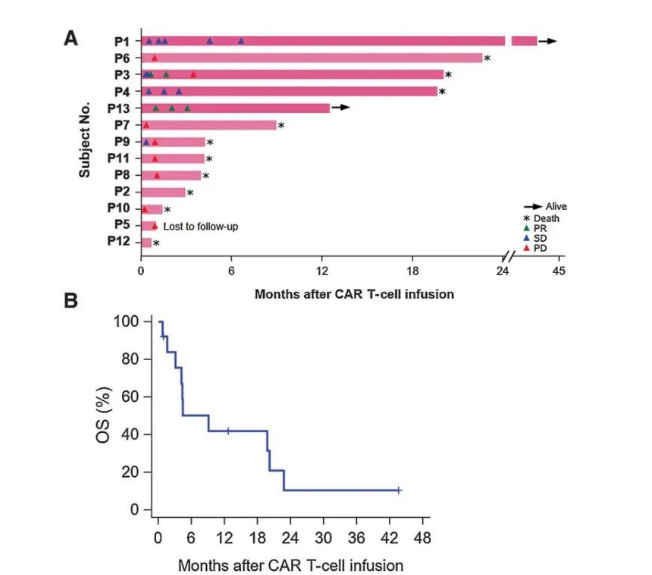 GPC3 CAR-T疗法治疗肝癌的数据