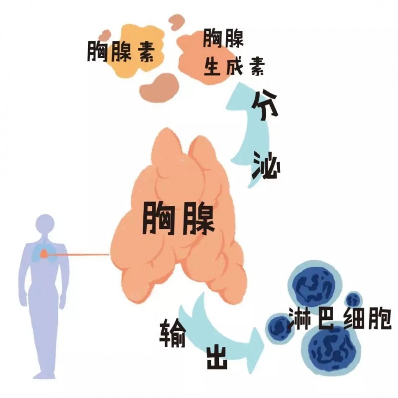 日达仙抗癌,日达仙治疗肿瘤癌症有效吗