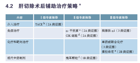 肝切除术后辅助治疗策略