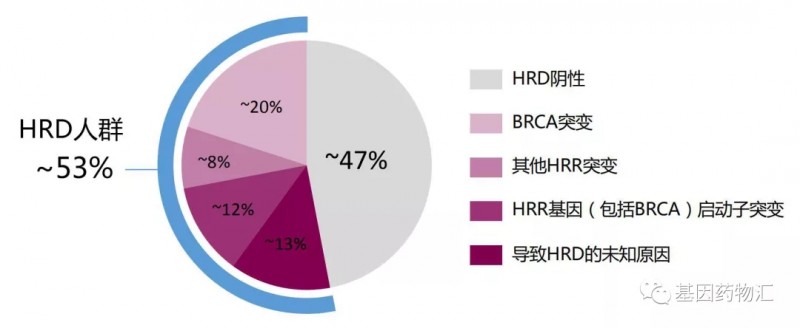 HRD和HRR基因突变概率