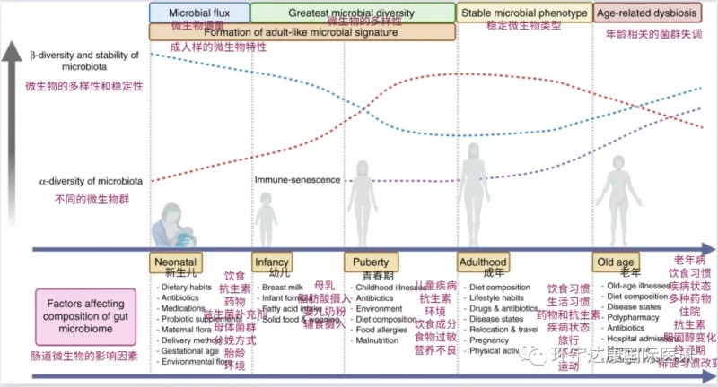 肠道微生物群的发育和各年龄阶段的影响因素