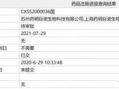 中国国内第二款CAR-T细胞疗法瑞基仑赛注射液即将获批,更多CAR-T临床试验患者招募正在进行中