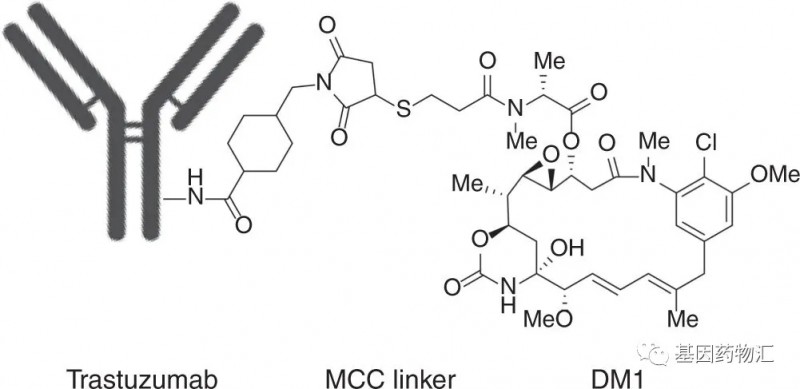 抗体偶联药物分子结构
