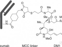 什么是抗体偶联药物(抗体药物偶联物),上市和在研的抗体偶联(ADC)药物有哪些