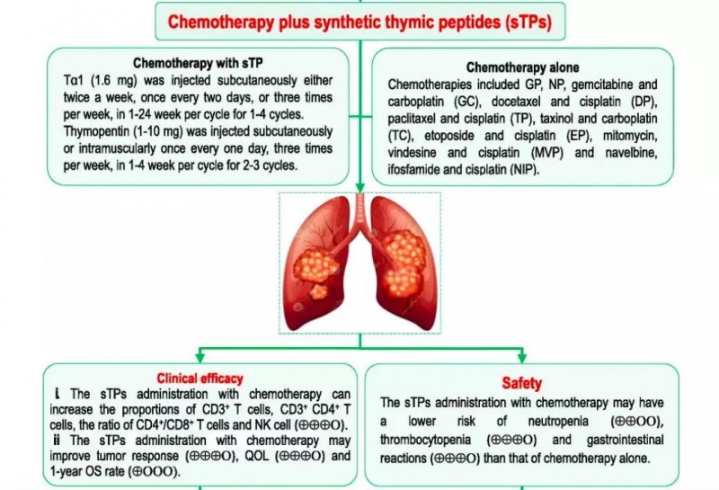 胸腺肽对肺癌治疗的影响