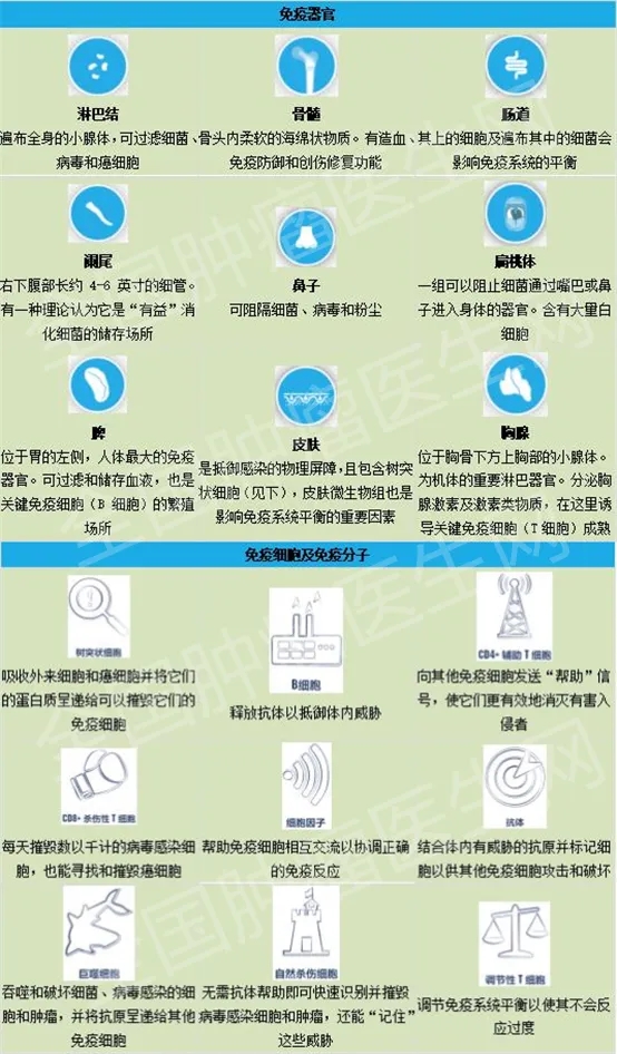 有关癌症免疫疗法你可能最关心的十个问题