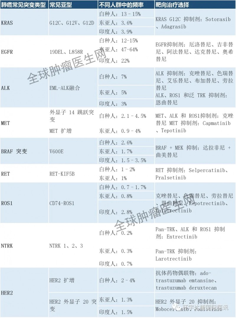 2021肺癌十大靶点全面解读及对应靶向药物方案盘点!