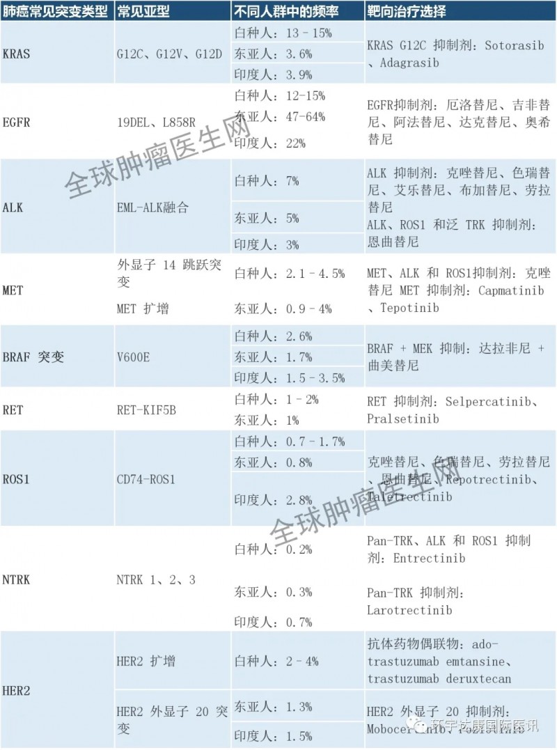 晚期肺腺癌常见突变及可用的靶向治疗