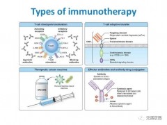 免疫治疗肿瘤,让癌症患者可以带瘤生存
