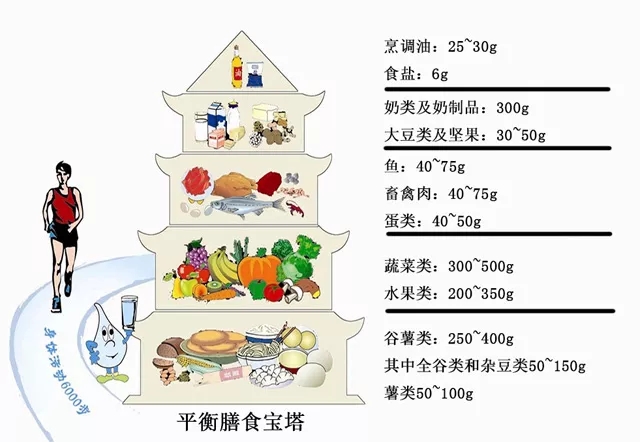 平衡膳食宝塔