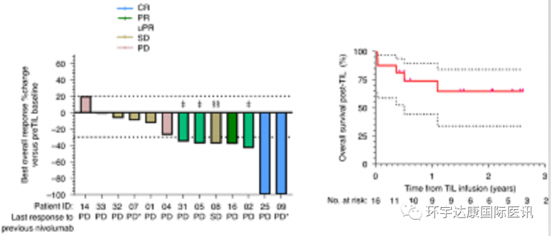 TIL细胞疗法治疗数据