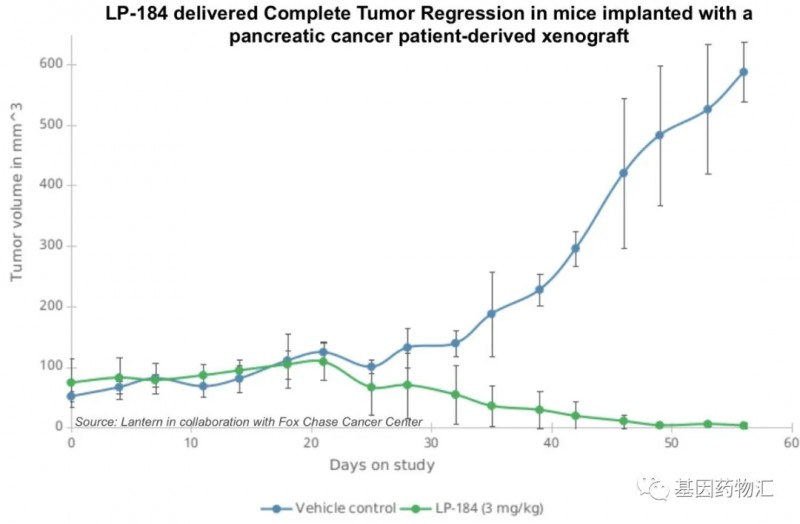 LP-184治疗胰腺癌的数据