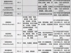 第五款中国国产PD-1免疫治疗药物派安普利单抗(AK105、Penpulimab)获批上市,9款已经在中国国内上市的免疫治疗药物都有什么特点