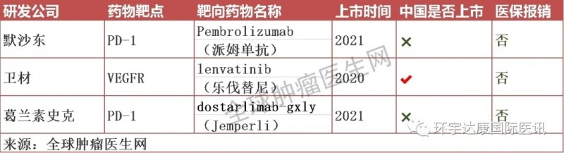 子宫内膜癌免疫和靶向治疗药物