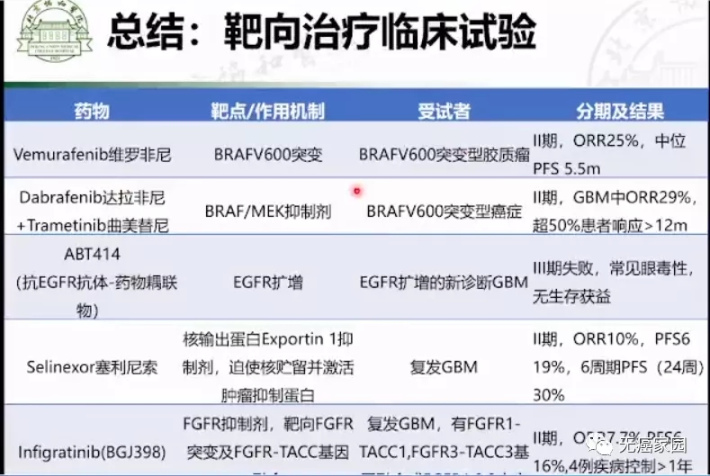 胶质母细胞瘤靶向治疗临床试验