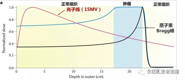 质子束和光子线的剂量深度曲线