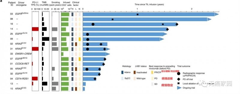 TILs疗法联合PD-1治疗转移性肺癌的数据