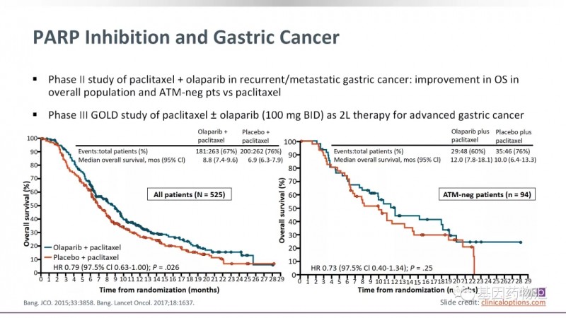 奥拉帕利联合紫杉醇和安慰剂联合紫杉醇治疗数据对比