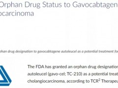 速递|胆管癌细胞免疫治疗,FDA授予新型细胞免疫疗法-TRuC-T疗法Gavocabtagene Autoleucel(Gavo-cel、TC-210)孤儿药称号