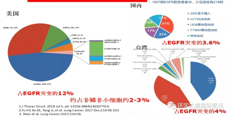 中美EGFR基因突变概率