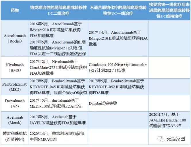 免疫药物治疗膀胱癌