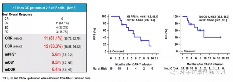 CAR-T细胞疗法--CT041治疗胃和胃食管交界癌的数据