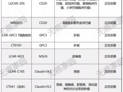 中国CAR-T细胞治疗,中国CAR-T疗法全力出击胃癌、肝癌、胰腺癌等难治性肿瘤,CAR-T临床试验招募正在进行中