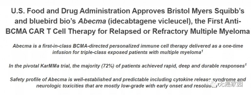 Abecma关键性的2期临床试验