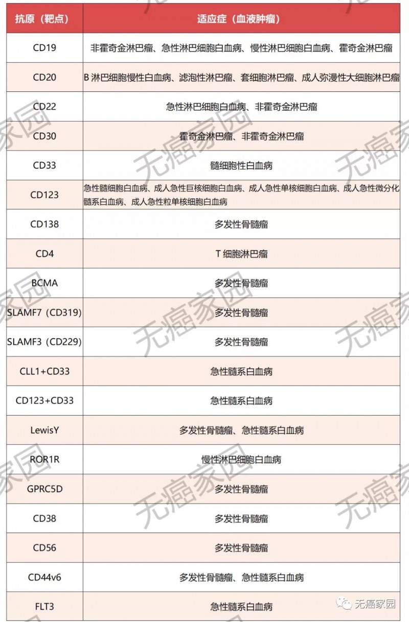 CAR-T可以治疗的血液肿瘤