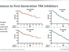 广谱抗癌药瑞波替尼(Repotrectinib、TPX-0005)获突破性疗法指定!临床试验招募正在进行中