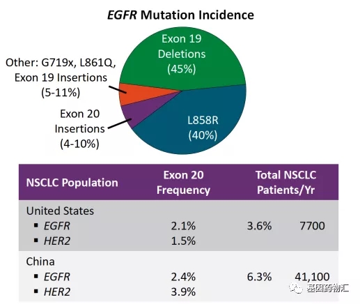 不同EGFR基因突变的概率